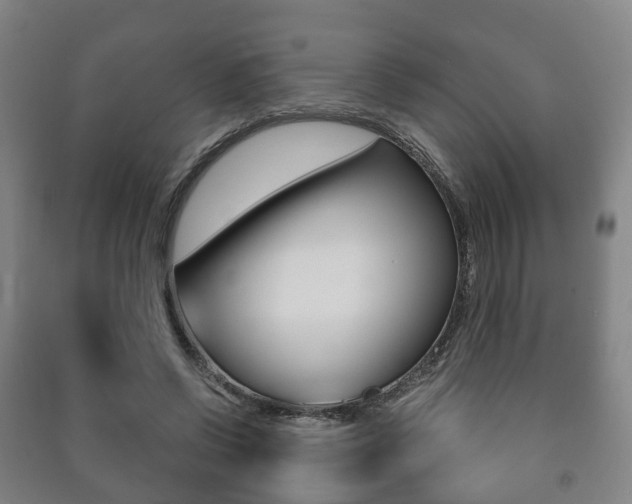 X0000091450542200708161049