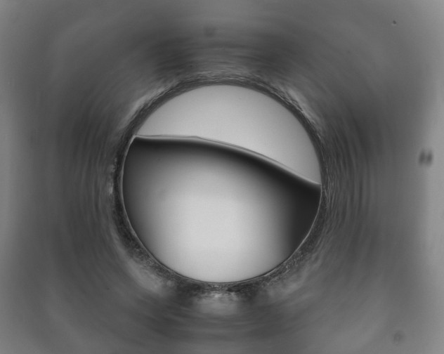 X0000091450543200708161049