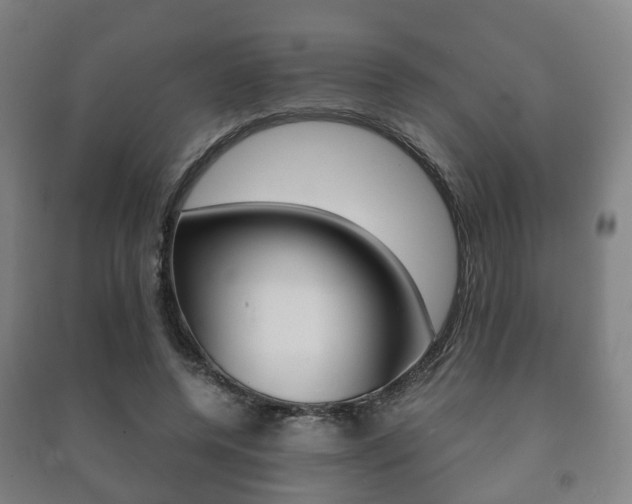 X0000091450544200708161049