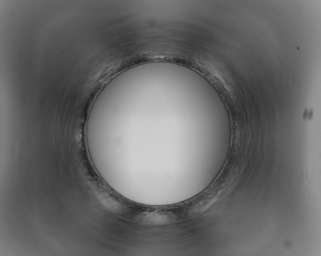 X0000091450545200708161049