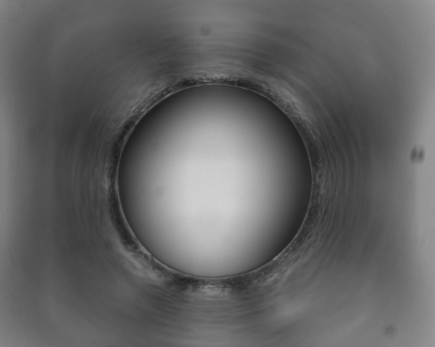 X0000091450546200708161049