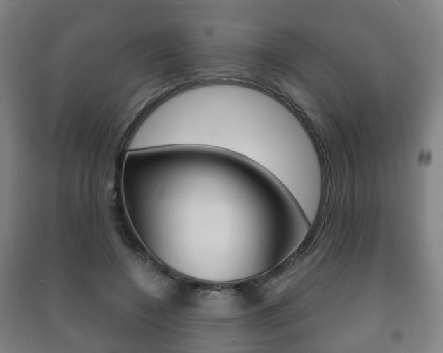 X0000091450548200708161049
