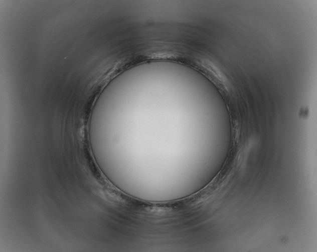 X0000091450549200708161049