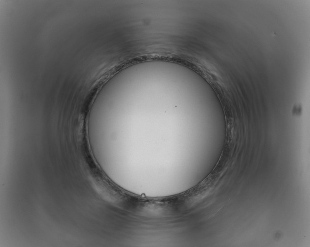 X0000091450550200708161049