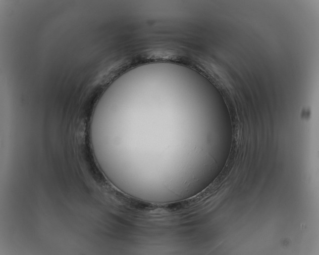 X0000091450551200708161049