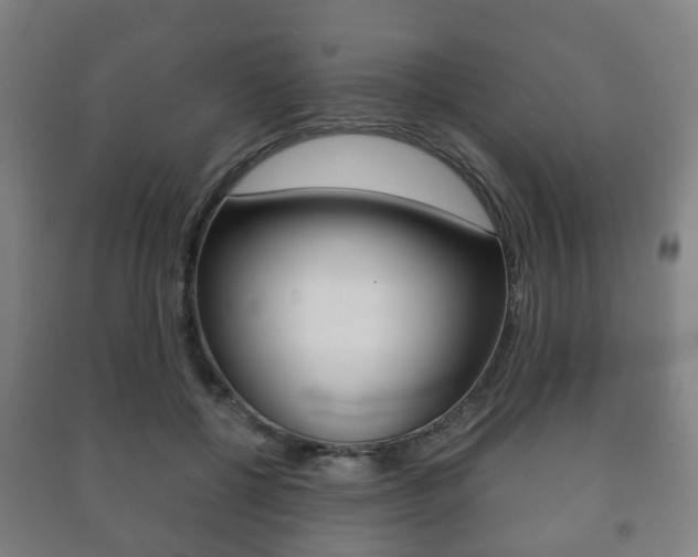 X0000091450552200708161049