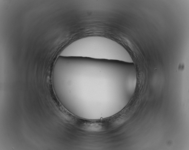 X0000091450553200708161049