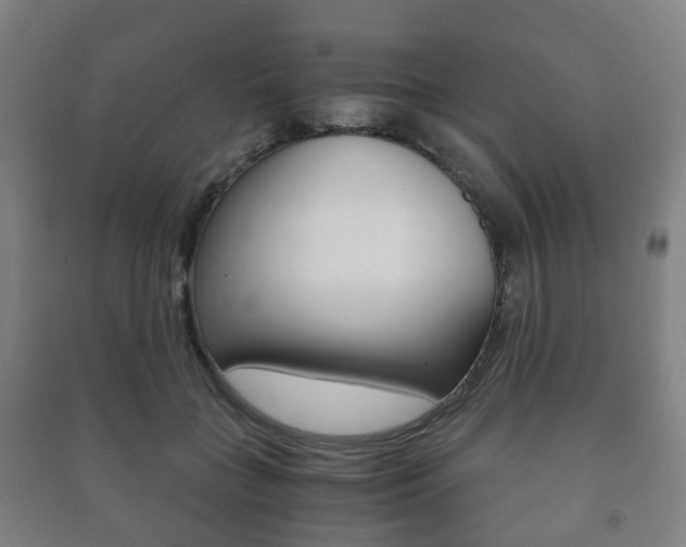 X0000091450555200708161049