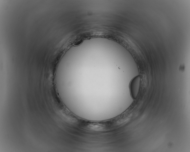 X0000091450557200708161049