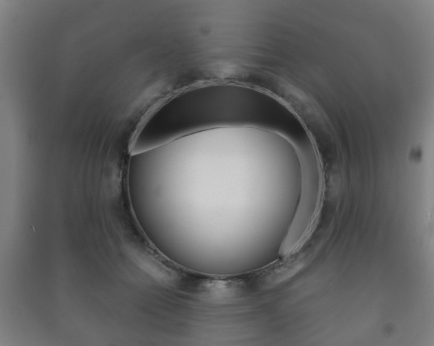 X0000091450558200708161049