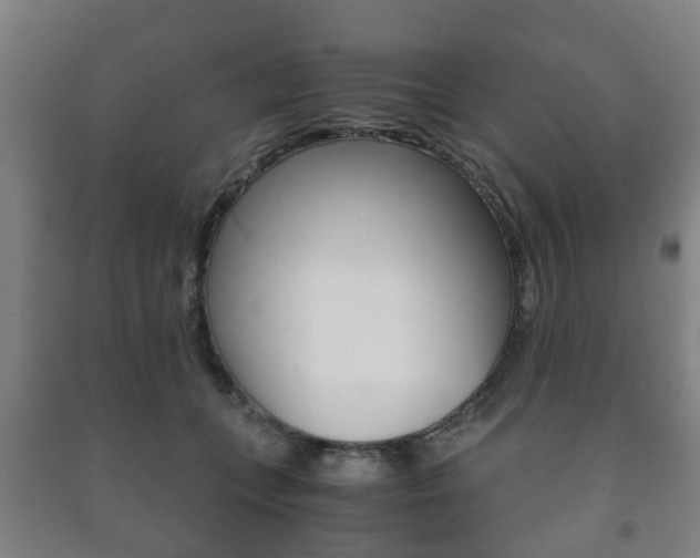 X0000091450559200708161049