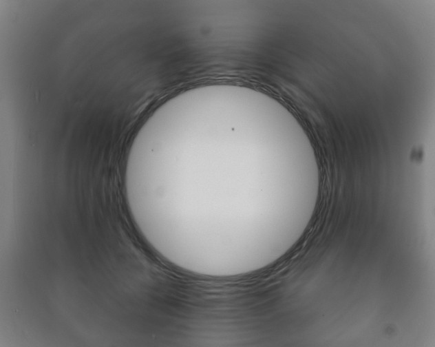 X0000091450560200708161049