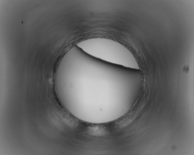 X0000091450561200708161049