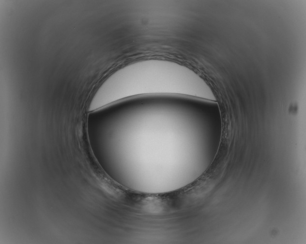X0000091450562200708161049