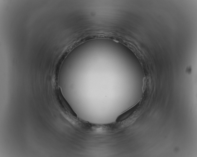 X0000091450564200708161049