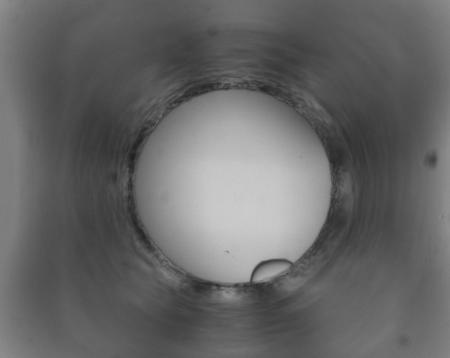 X0000091450565200708161049