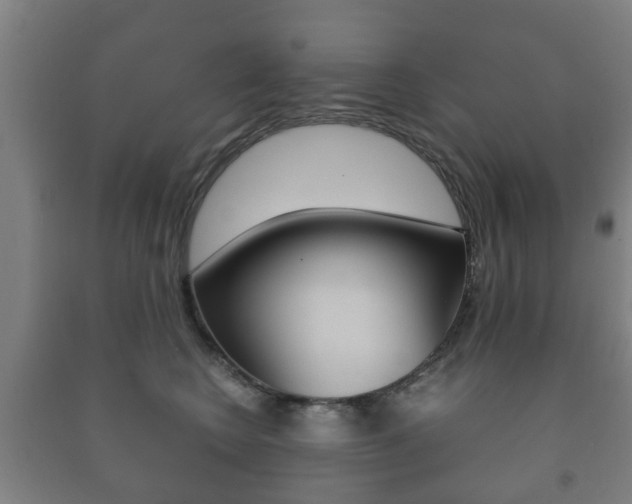 X0000091450566200708161049