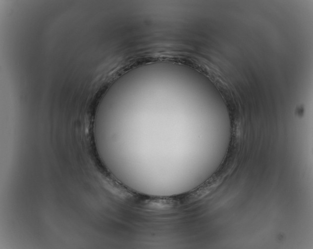 X0000091450567200708161049