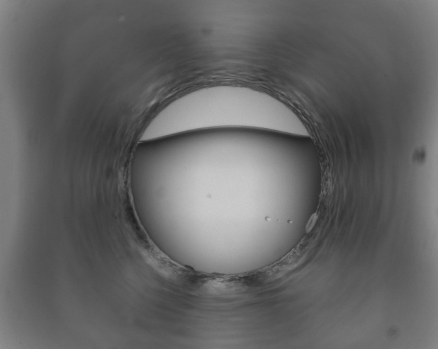 X0000091450568200708161049
