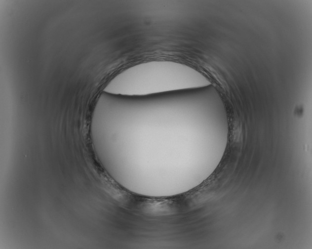 X0000091450569200708161049