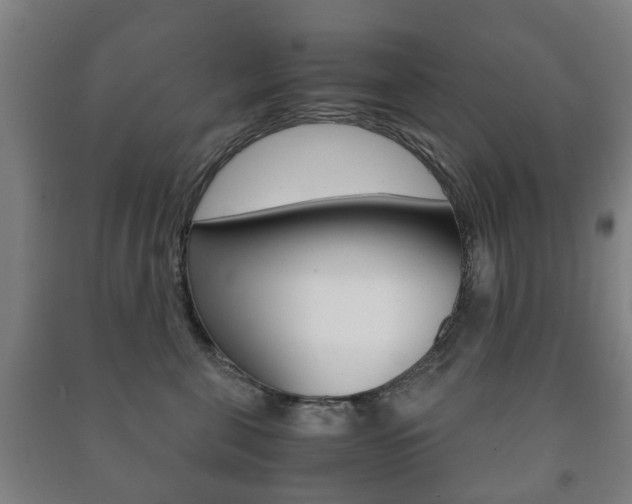 X0000091450571200708161049
