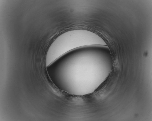X0000091450572200708161049