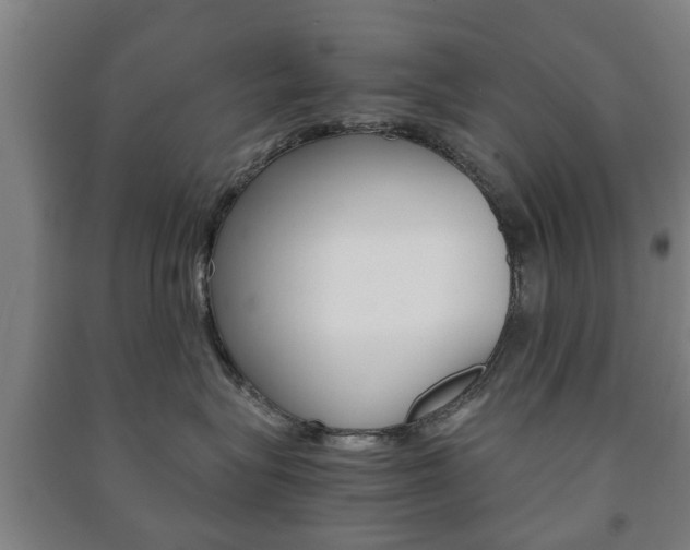 X0000091450575200708161049