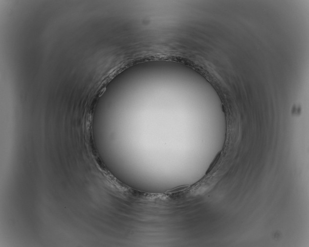 X0000091450576200708161049