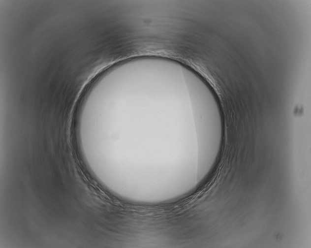 X0000091450579200708161049