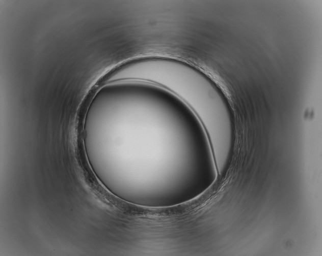 X0000091450580200708161049