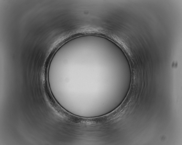 X0000091450582200708161049