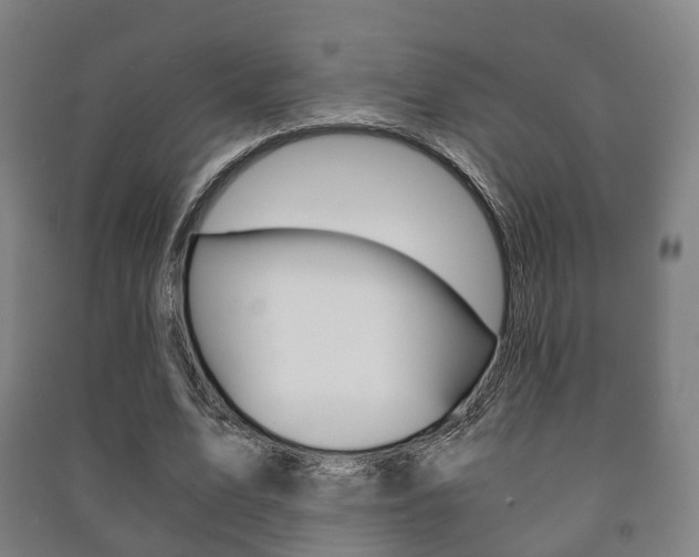 X0000091450583200708161049