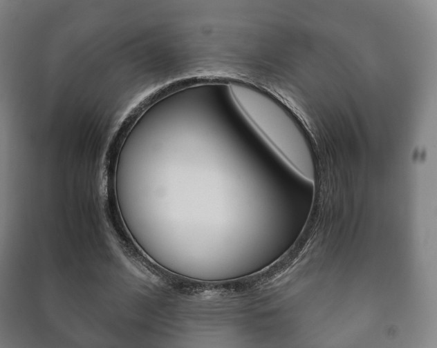 X0000091450584200708161049