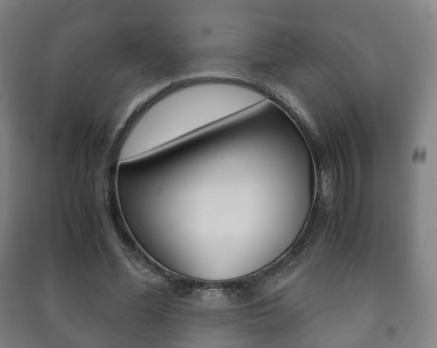 X0000091450588200708161049
