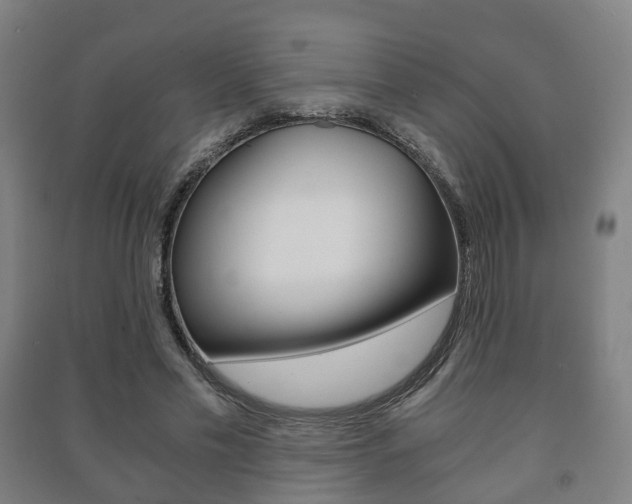 X0000091450589200708161049