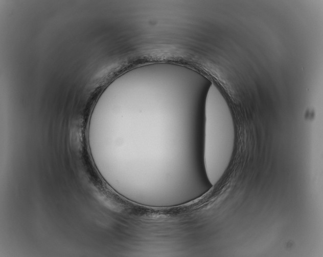 X0000091450590200708161049