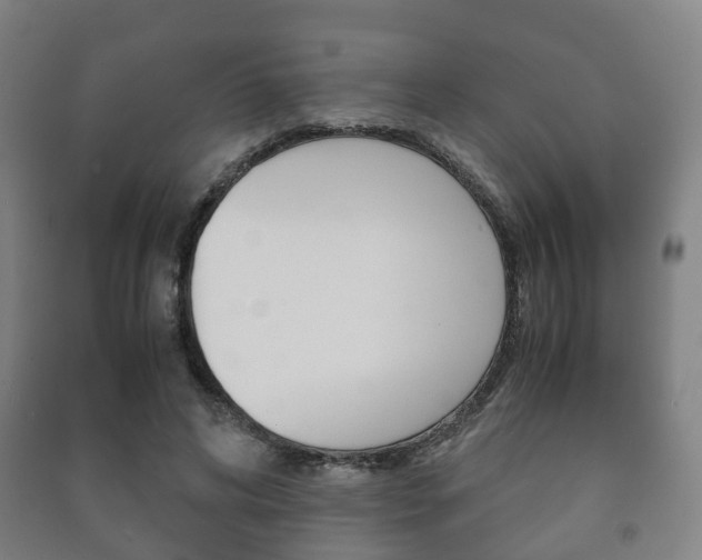 X0000091450592200708161049