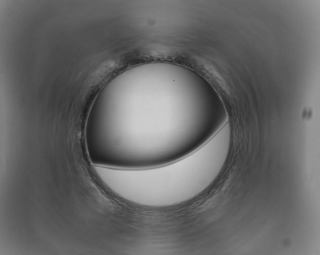 X0000091450593200708161049