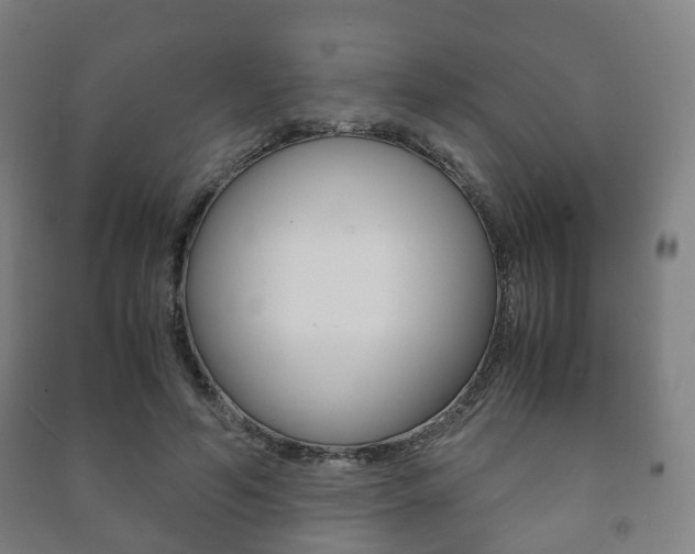 X0000091450594200708161049