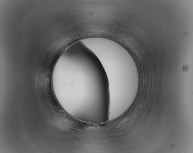 X0000091450595200708161049