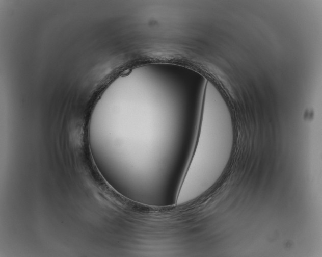 X0000091450596200708161049