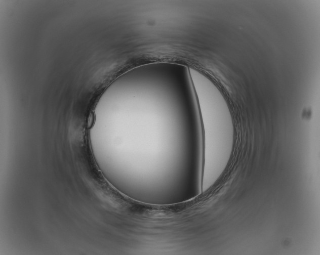 X0000091450597200708161049