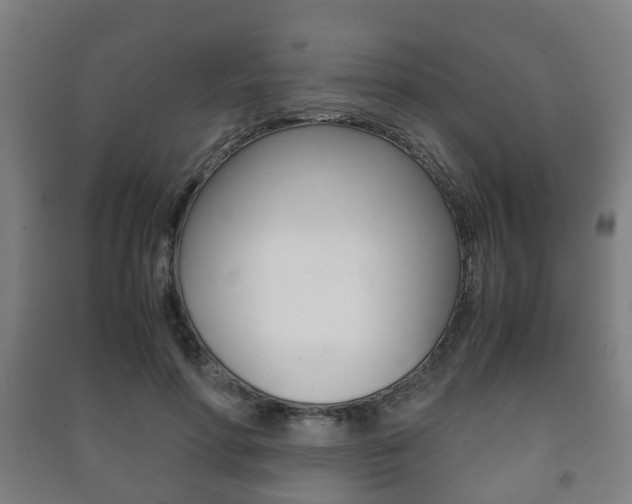 X0000091450598200708161049