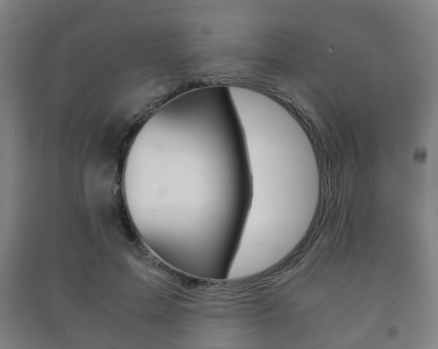 X0000091450599200708161049