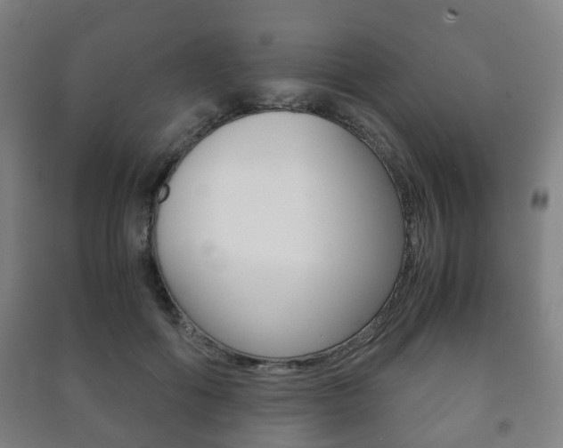 X0000091450602200708161049