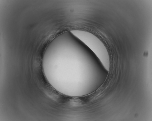 X0000091450603200708161049