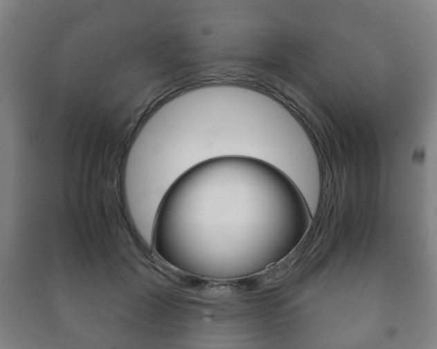 X0000091450604200708161049
