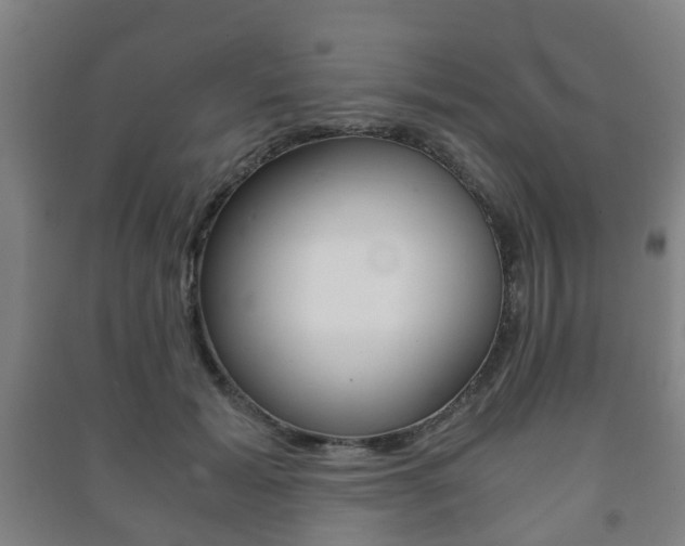 X0000091450605200708161049