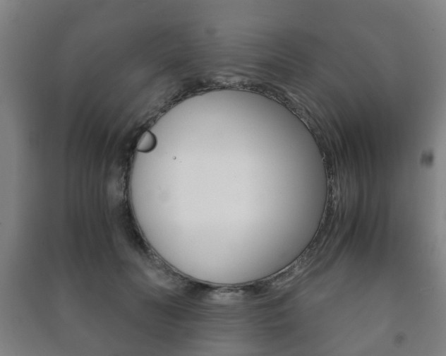 X0000091450606200708161049