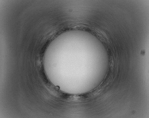 X0000091450607200708161048